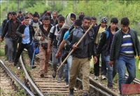 Турска одговорна за мигрантску кризу
